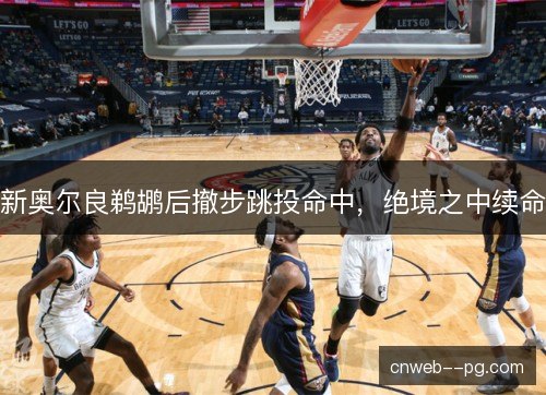 新奥尔良鹈鹕后撤步跳投命中，绝境之中续命